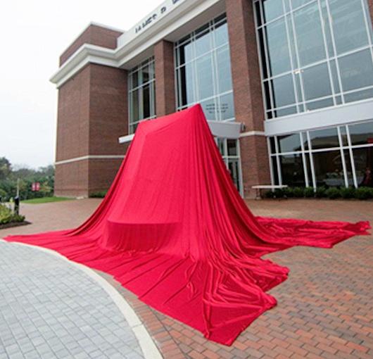 Unveiling the Quality: What Sets Revive Apart in the Market
