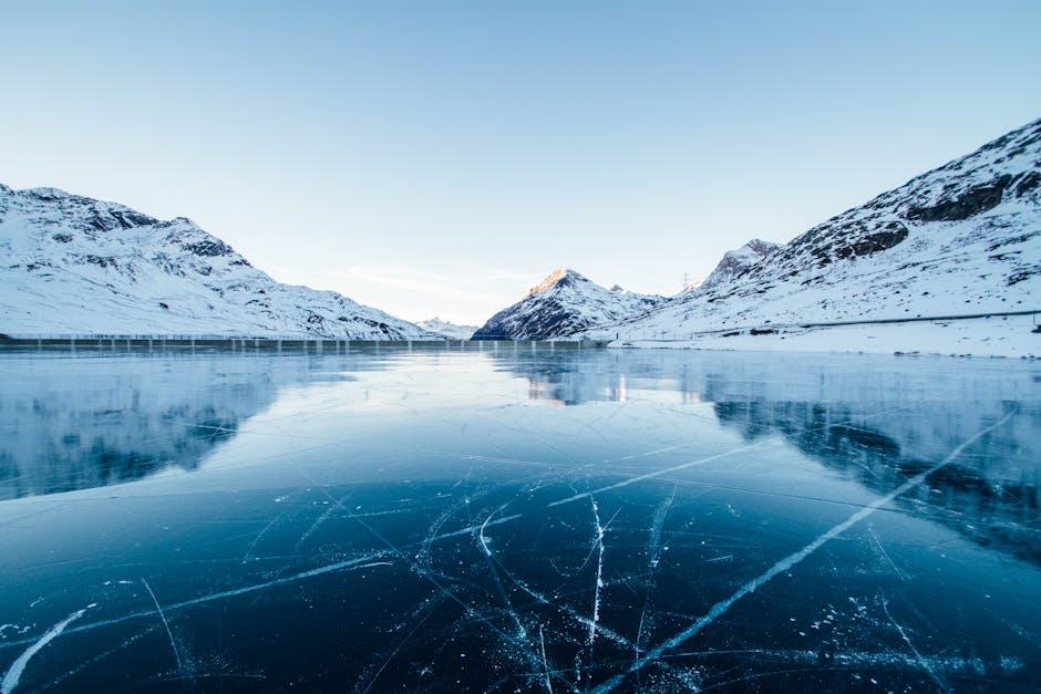 Frozen⁣ vs.Fresh: A Closer‍ Look at Preservation methods