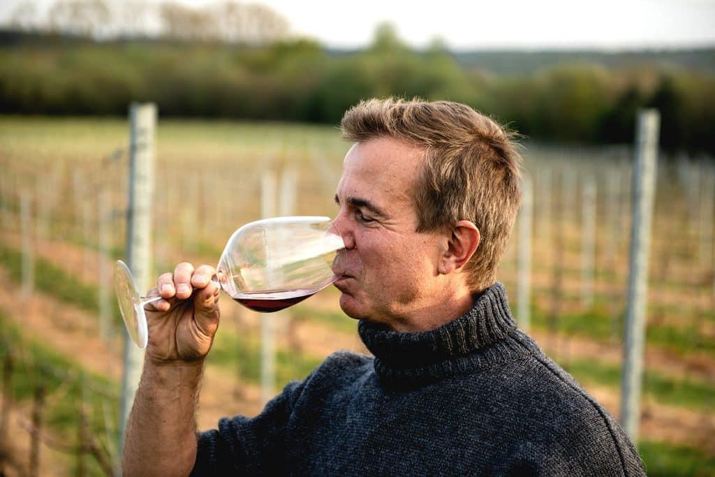 Tasting notes: Unlocking the Flavors of ​Curated Selections