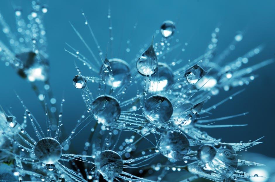 The​ Science⁤ Behind Repair and⁣ Restoration for Damaged ‍Hair