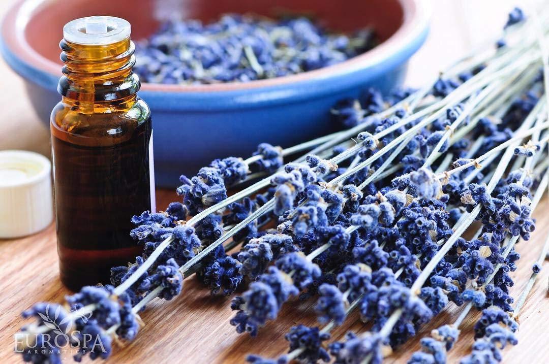 Top ⁢Lavender-Infused Essentials for a Tranquil ⁤Sleep Environment