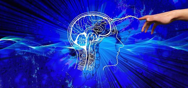Understanding Key Ingredients that Drive ‍Deep Nourishment