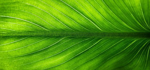 Eco-Friendly Beauty Innovations: Sustainable Tools for Self-Care Routines