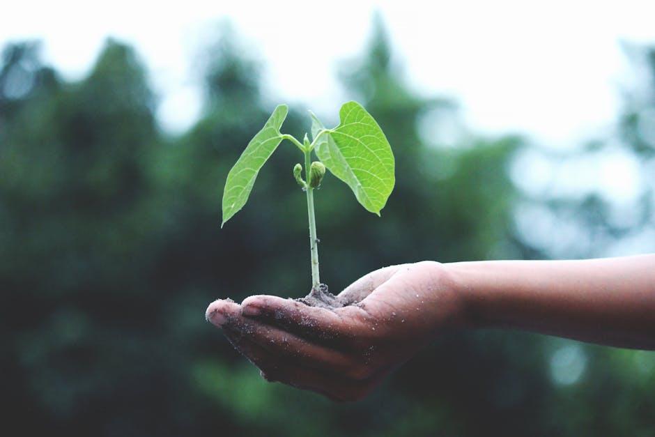 Sustainability and ⁢Health: The Impact of Choosing Plant-Based options