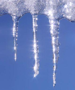 The Art​ of Freezing: How Pi00a Preserves Quality