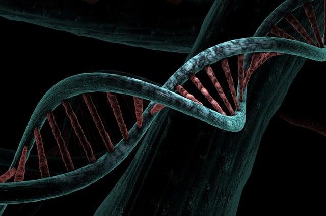 How Amino Acids Support Muscle Retention During Intense Training