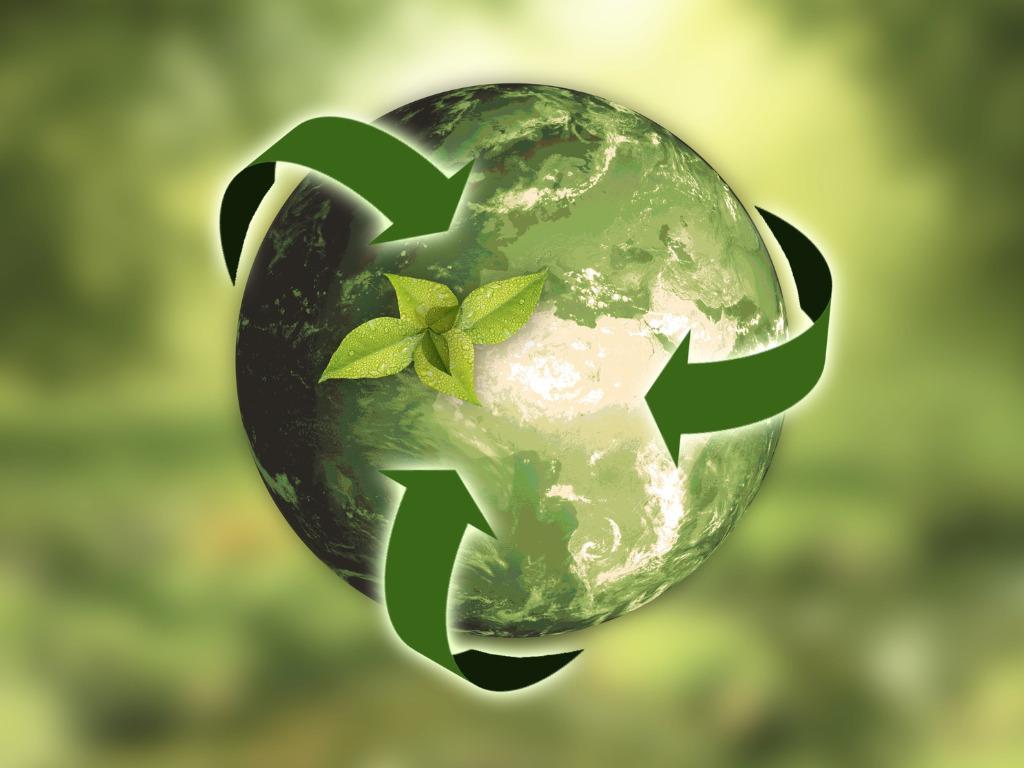 Sustainable Practices: How Eco-Conscious Farming Shapes Specialty Foods
