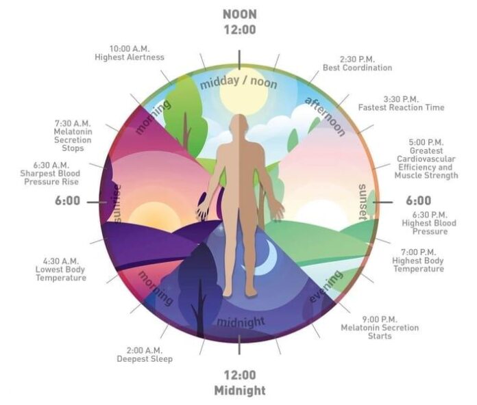 Sleep Tech and Blue Light Exposure: Devices That Help Manage Circadian Rhythm