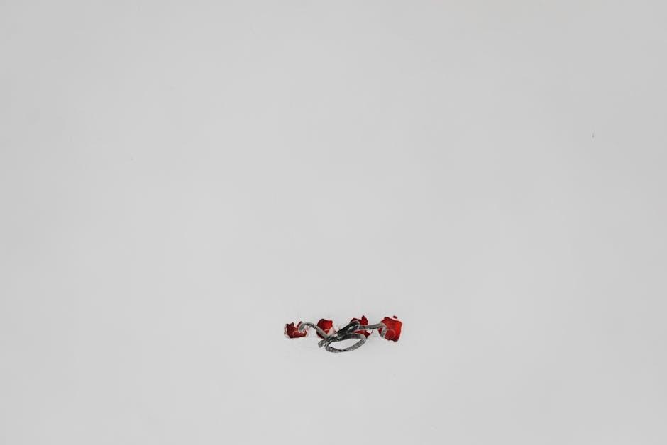 Expert Tips for Maintaining Your Blender’s Peak Smoothness