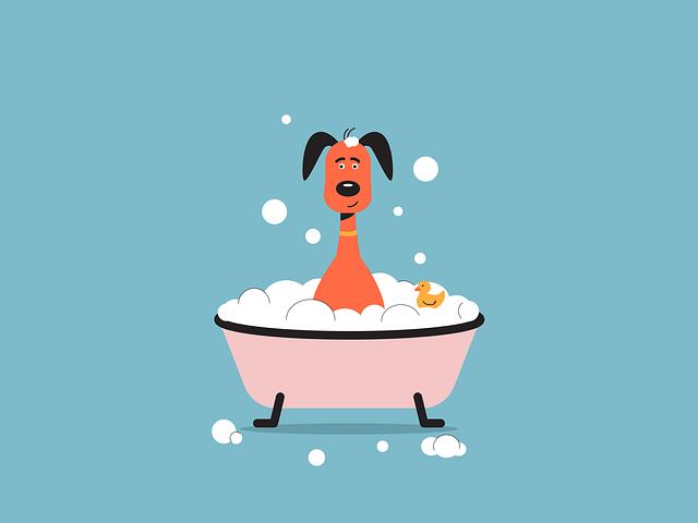 Top Picks for Every Budget and Bathroom Space