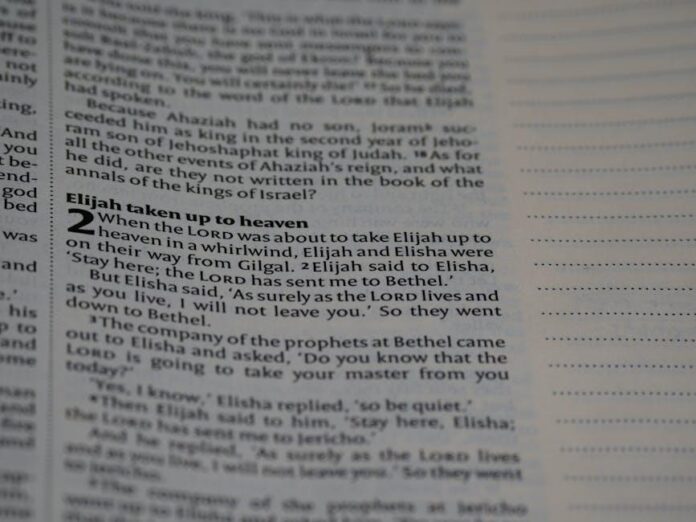 The Best Stroller Footmuffs We Tested for Warmth