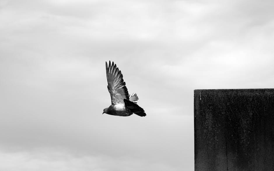 Comparing Solubility and Aftertaste of Top Creatine Brands