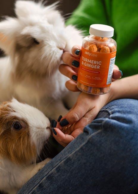 Key Ingredients to Look for in Budget-Friendly Supplements