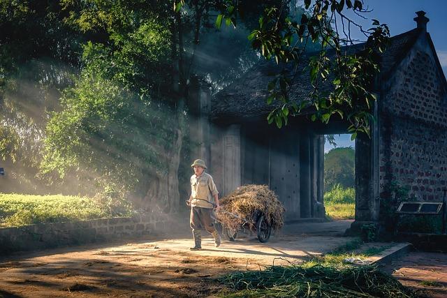 The Essential Tools That Elevated Our Daily Routine